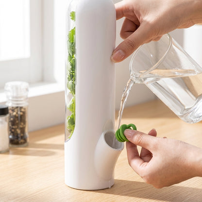 Fresh Herb Storage Keeper for Refrigerator | Herb Saver Container with Water Base | Transparent Vegetable Storage Box for Coriander, Mint & Spring Onion